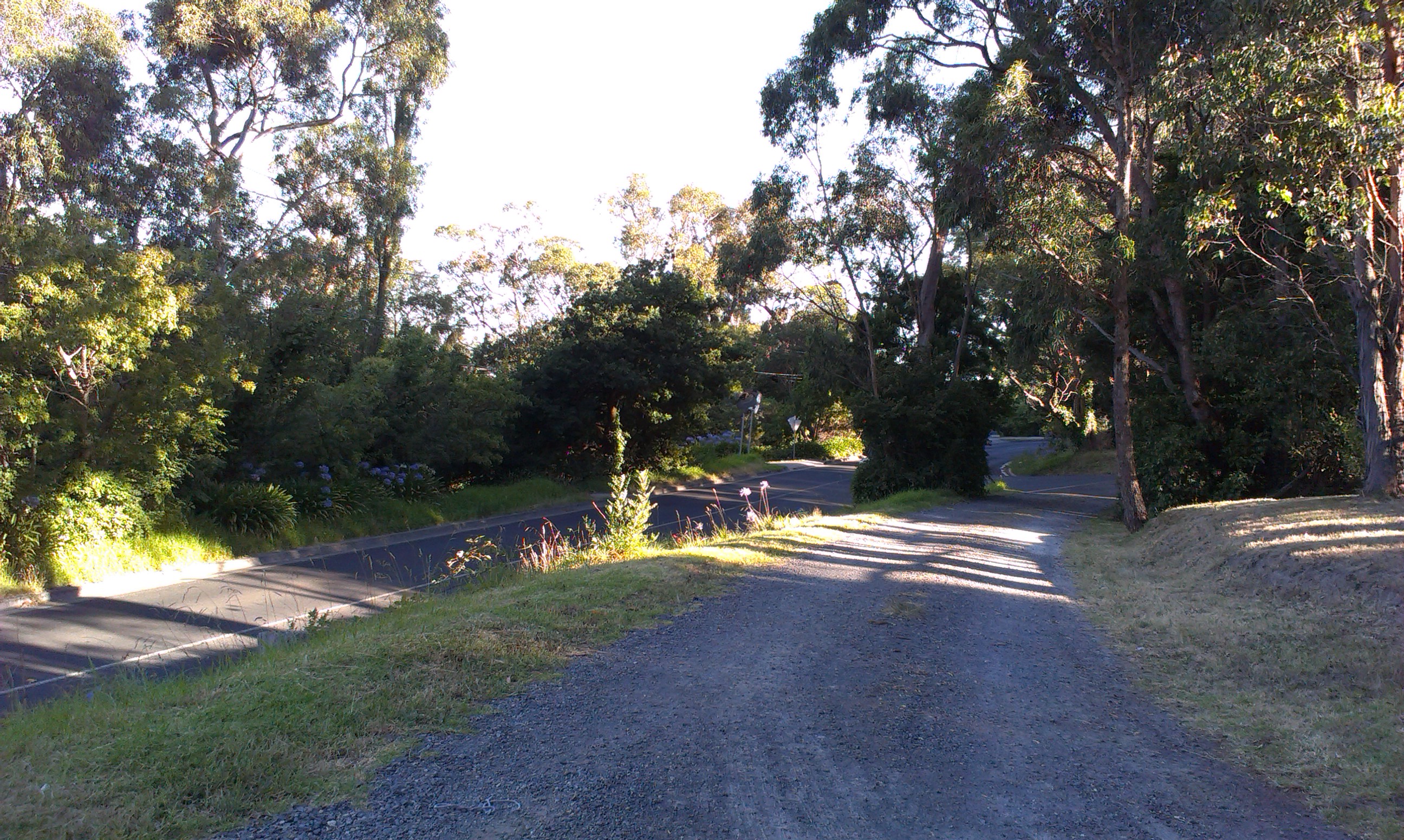 A photo of a gravel street in Upwey, with a backdrop of trees.